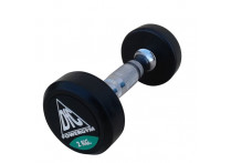 Гантели пара 2кг DFC POWERGYM DB002-2