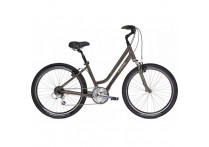 Велосипед Trek Shift 3.0 F WSD 19L Metallic Bronze с крыльями CMF 26'