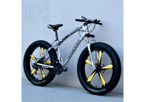Велосипед Fatbike Beinaiqi-2 серебро на дисках
