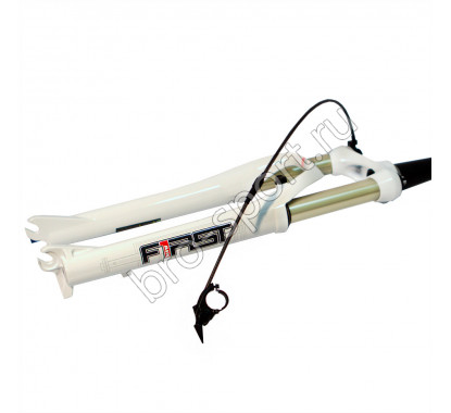 RST F1RST PLATINUM TRL 26