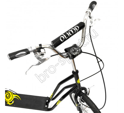 OLIMP 16